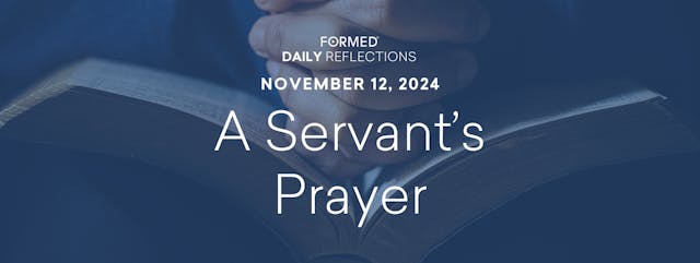 Daily Reflections – November 12, 2024