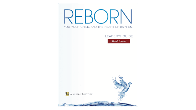 Reborn Leader Guide PDF
