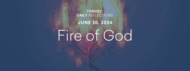 Daily Reflections — June 20, 2024