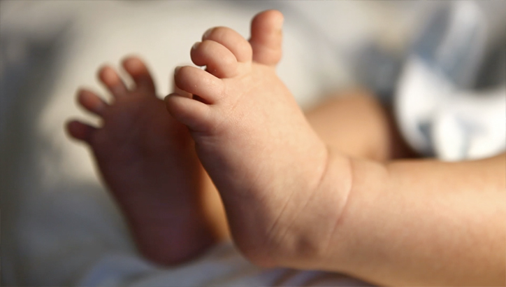 Conflicto y Comunicación