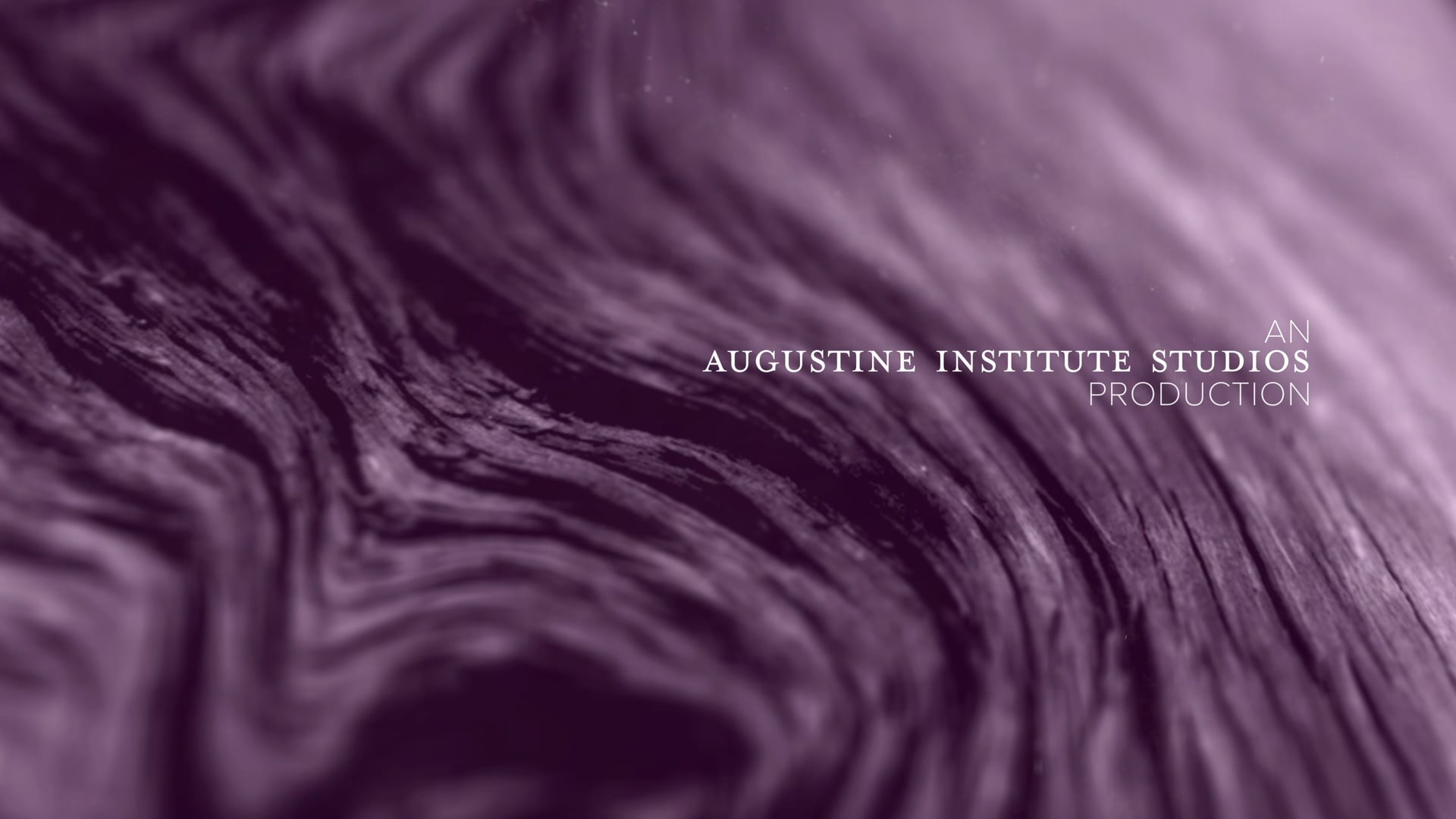 Día 25: "La Anunciación del Señor"