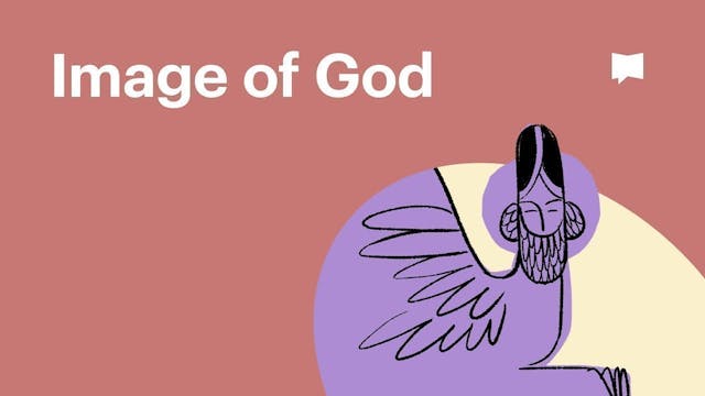 Image of God | Themes | The Bible Pro...