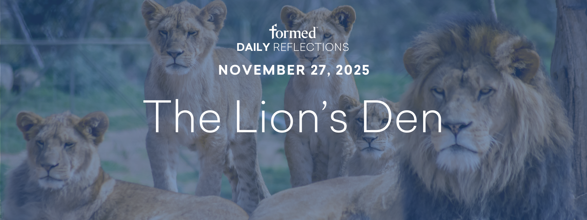 Daily Reflections — November 27, 2025