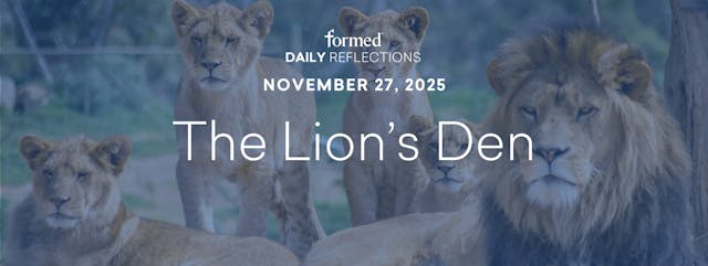 Daily Reflections — November 27, 2025