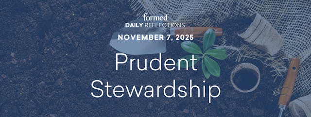 Daily Reflections — November 7, 2025