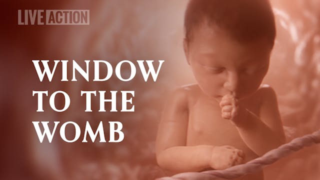 Window to the Womb | Live Action