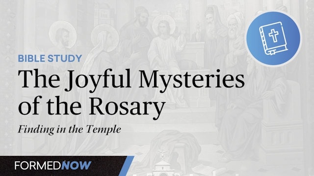A Bible Study on the Joyful Mysteries: The Finding in the Temple