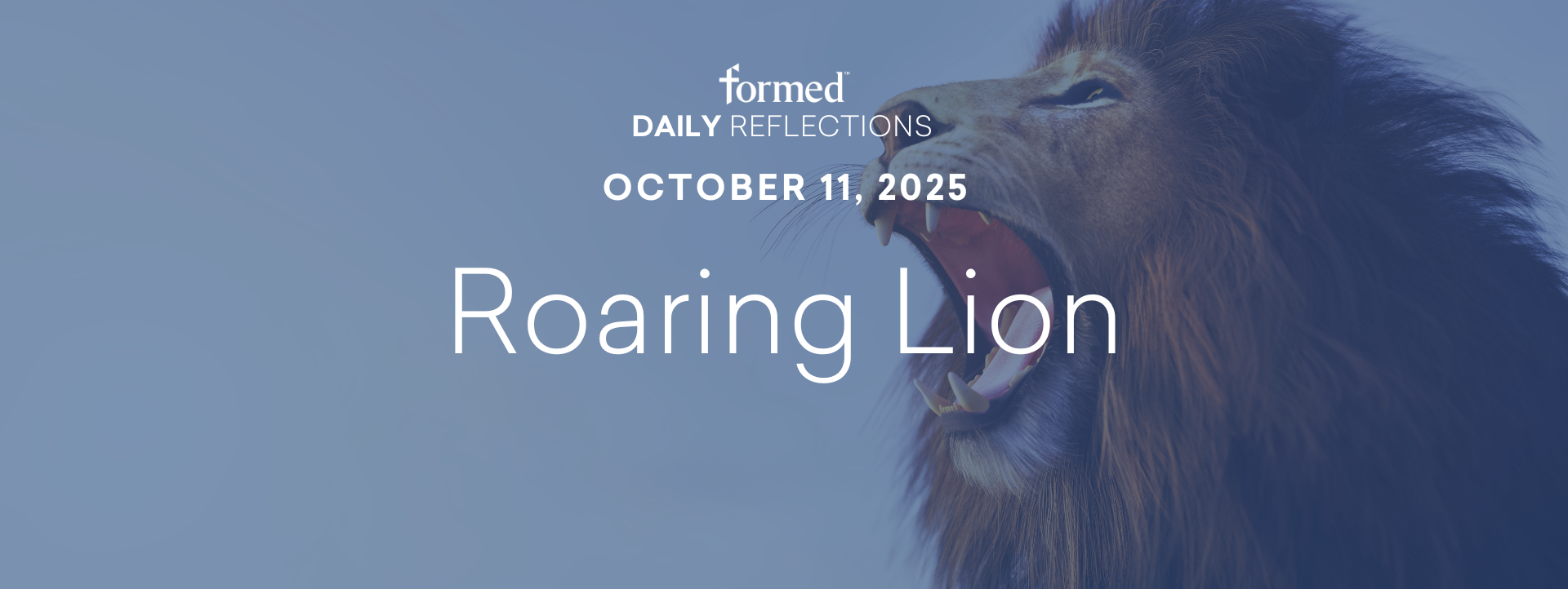 Daily Reflections — October 11, 2025