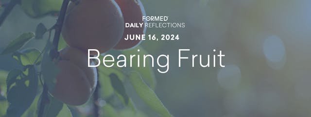 Daily Reflections — June 16, 2024