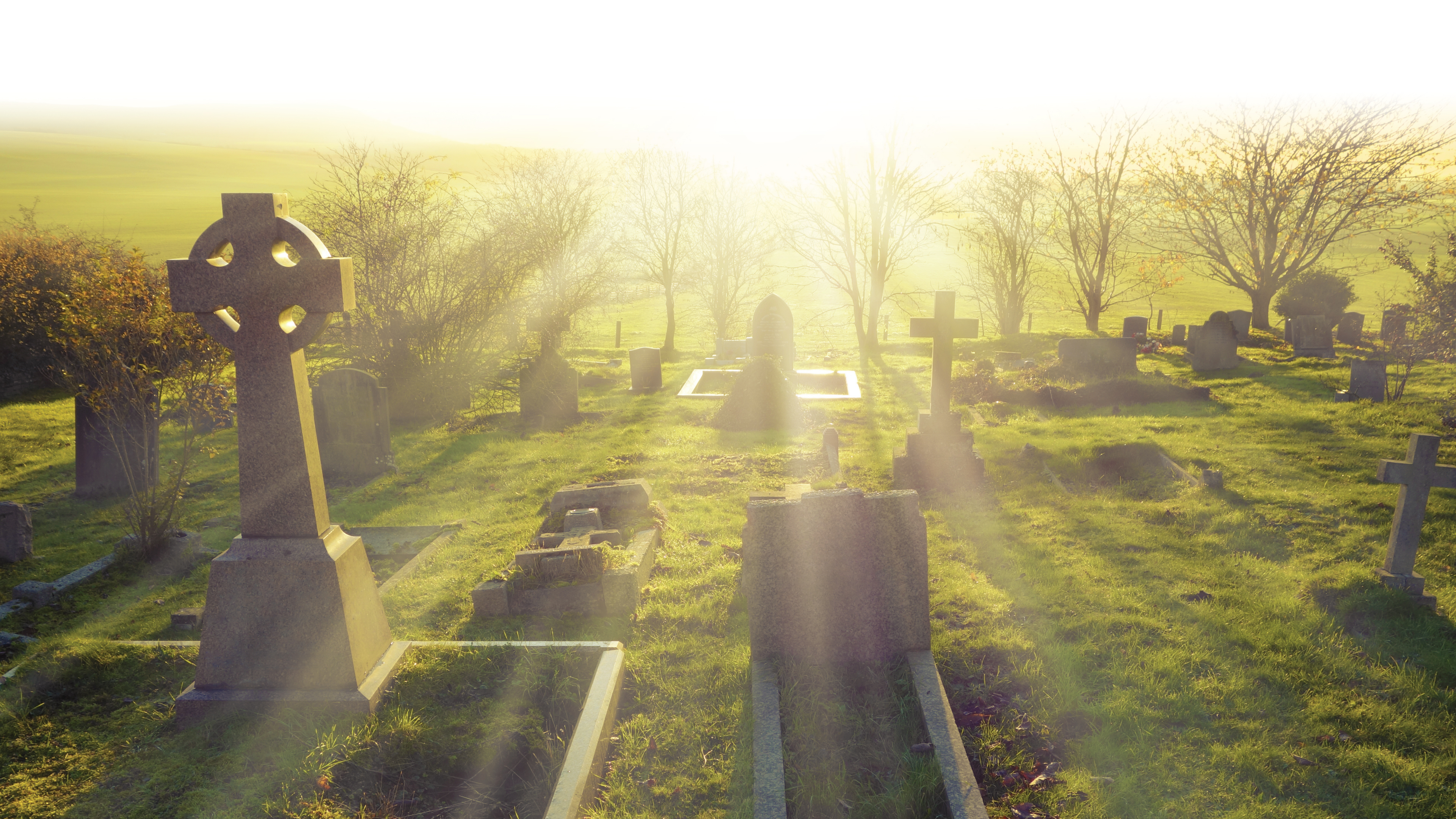 The Faithful Departed | Eternal Rest | Episode 4