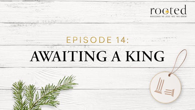 Awaiting a King | Rooted | Episode 14