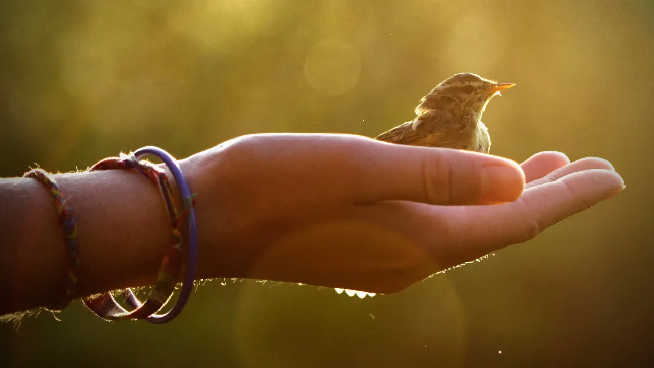 What Happens When We Die?