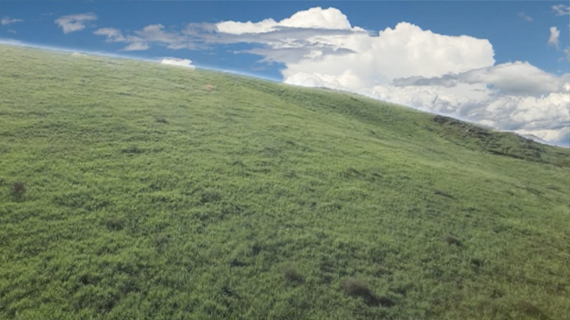 Level 4 Evidence: Near-Death Experiences