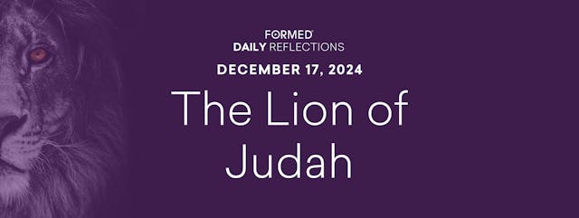 Daily Reflections – December 17, 2024