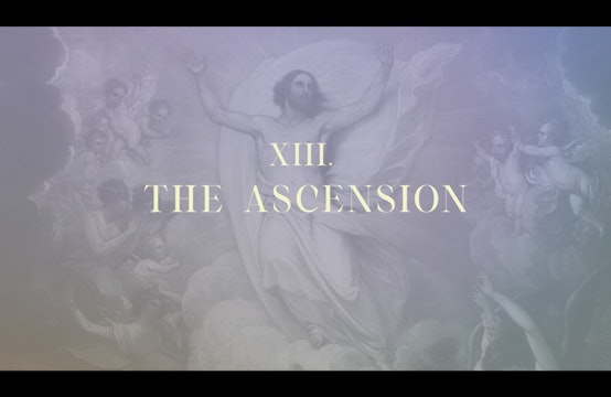Station 13 | Via Lucis Commentary | The Ascension