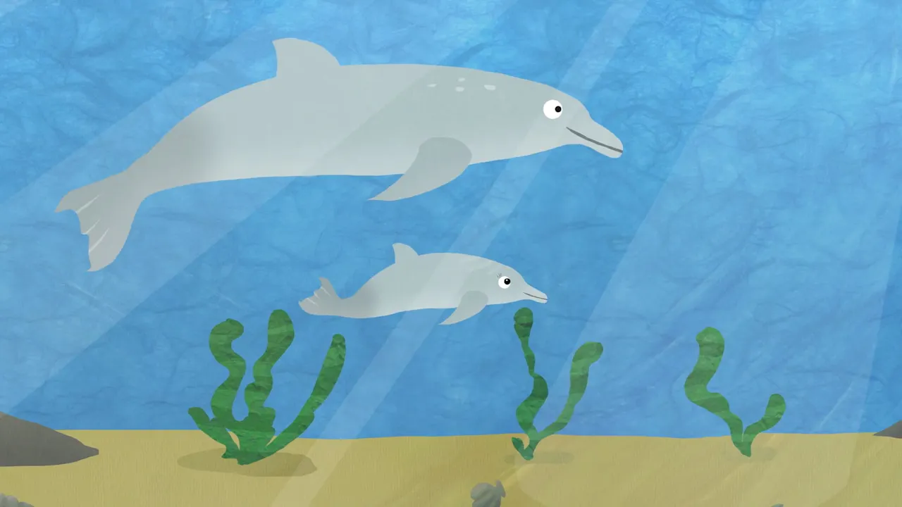 Dolphin - Season 1 - Formed