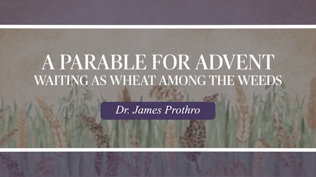 A Parable for Advent: Waiting as Wheat among the Weeds by Dr. James Prothro