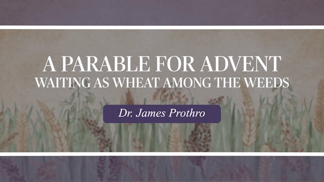 A Parable for Advent: Waiting as Whea...