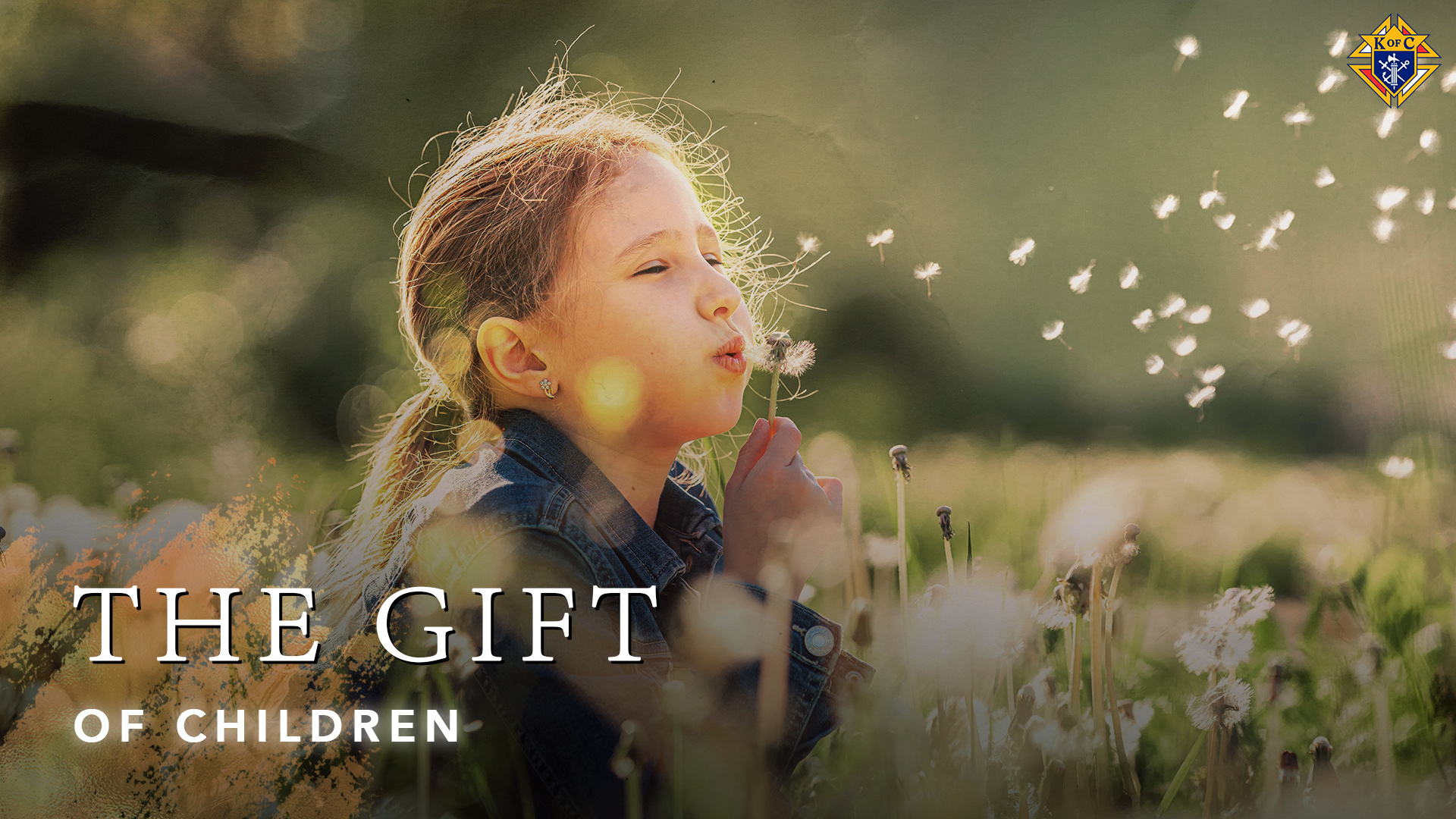 The Gift of Children | The Mission of the Family | Ep 3