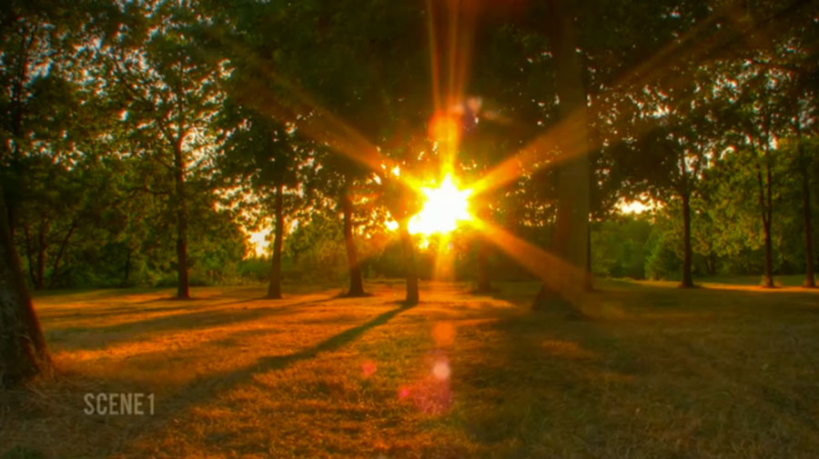 What Happens after We Die? | Symbolon for Teens: The Creed | Episode 10