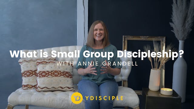What is Small Group Discipleship