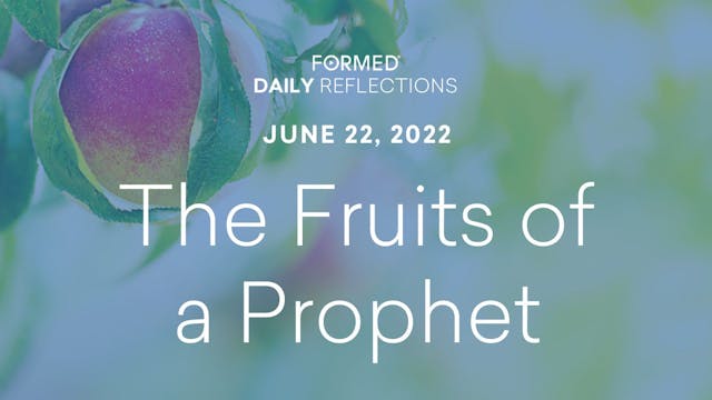 Daily Reflections – June 22, 2022