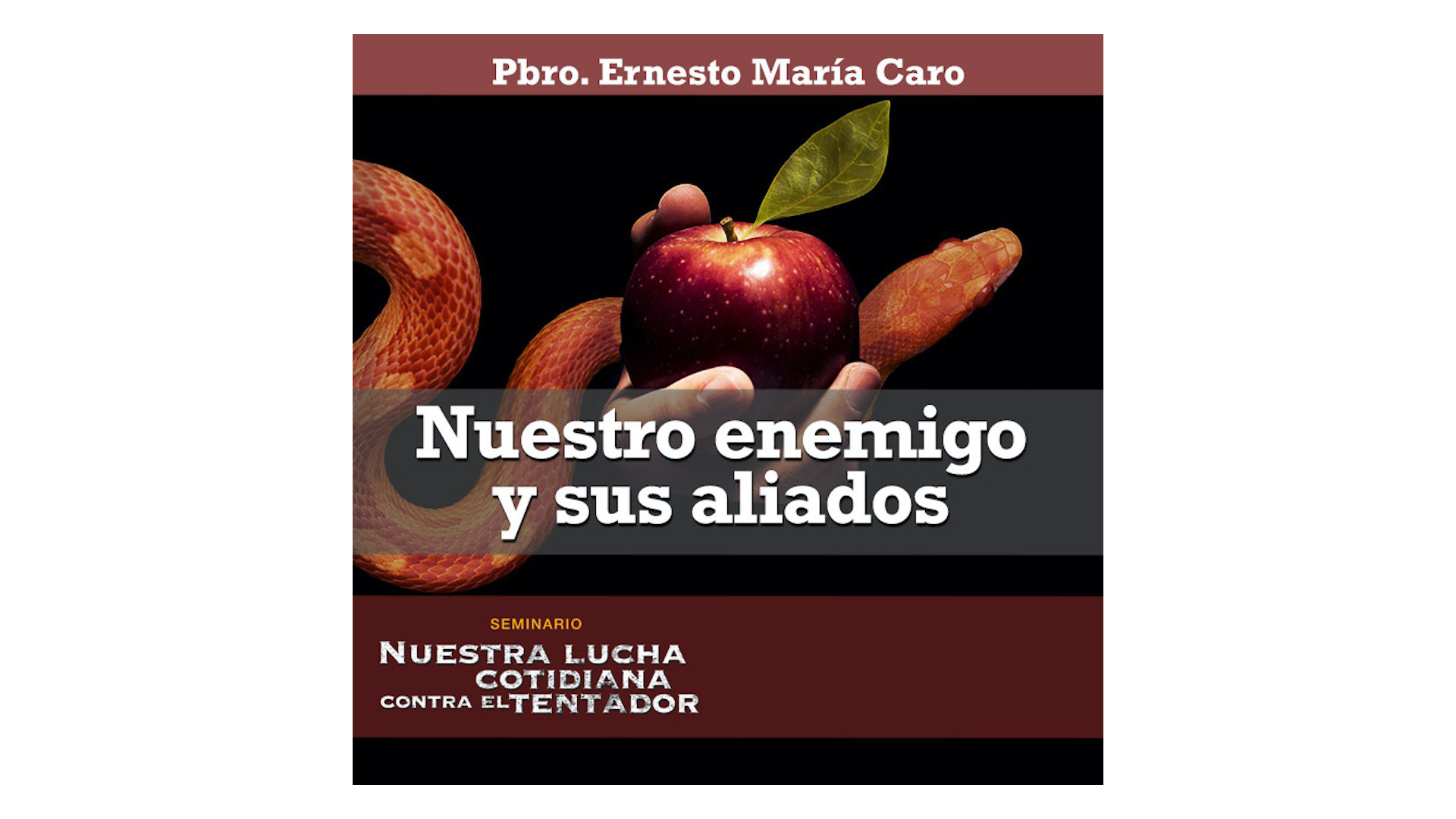 Nuestro enemigo y sus aliados