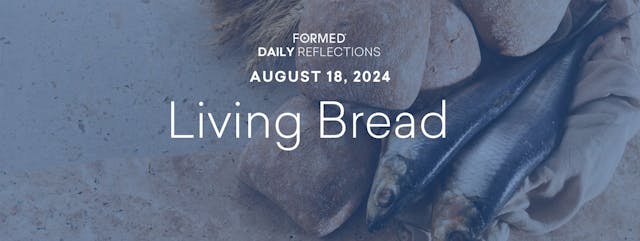 Daily Reflections — August 18, 2024