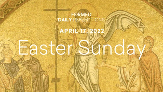 Easter Daily Reflections – Easter Sun...