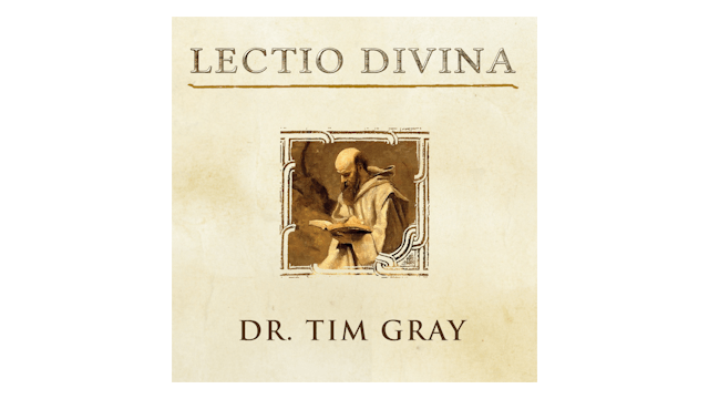 Lectio Divina: Hearing God's Voice Through Scripture by Tim Gray