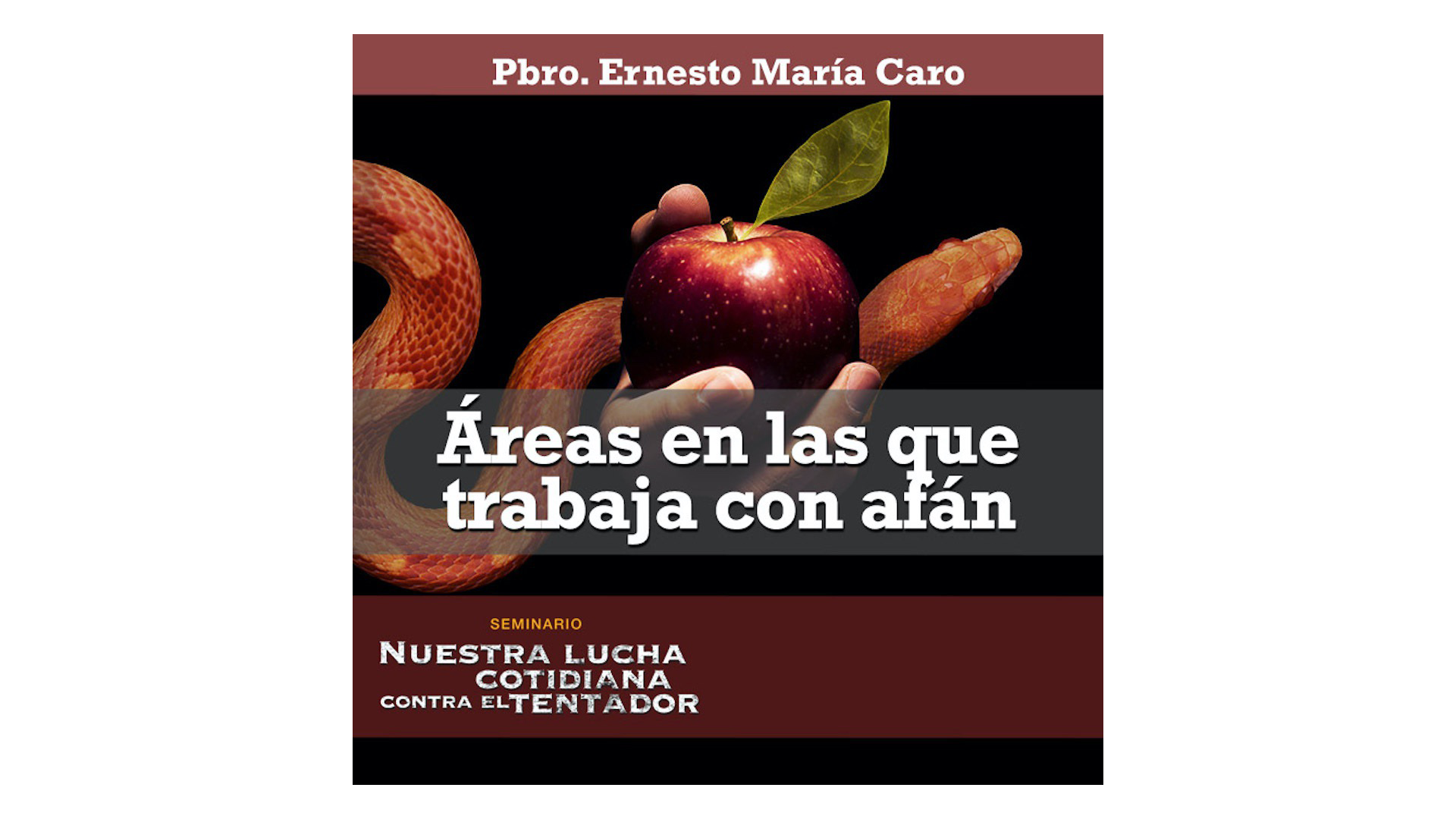 Áreas en las que trabaja con afán