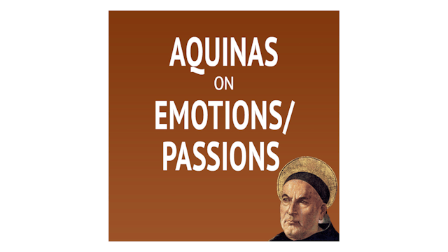 Aquinas on Emotions/Passions with Fr. Ryan Mann