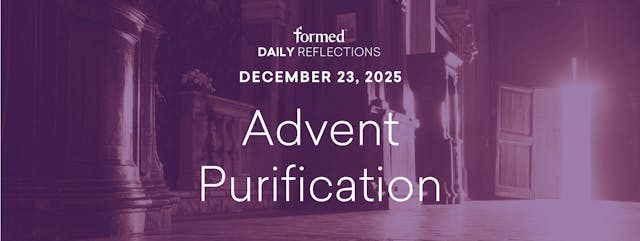 Daily Reflections — December 23, 2025