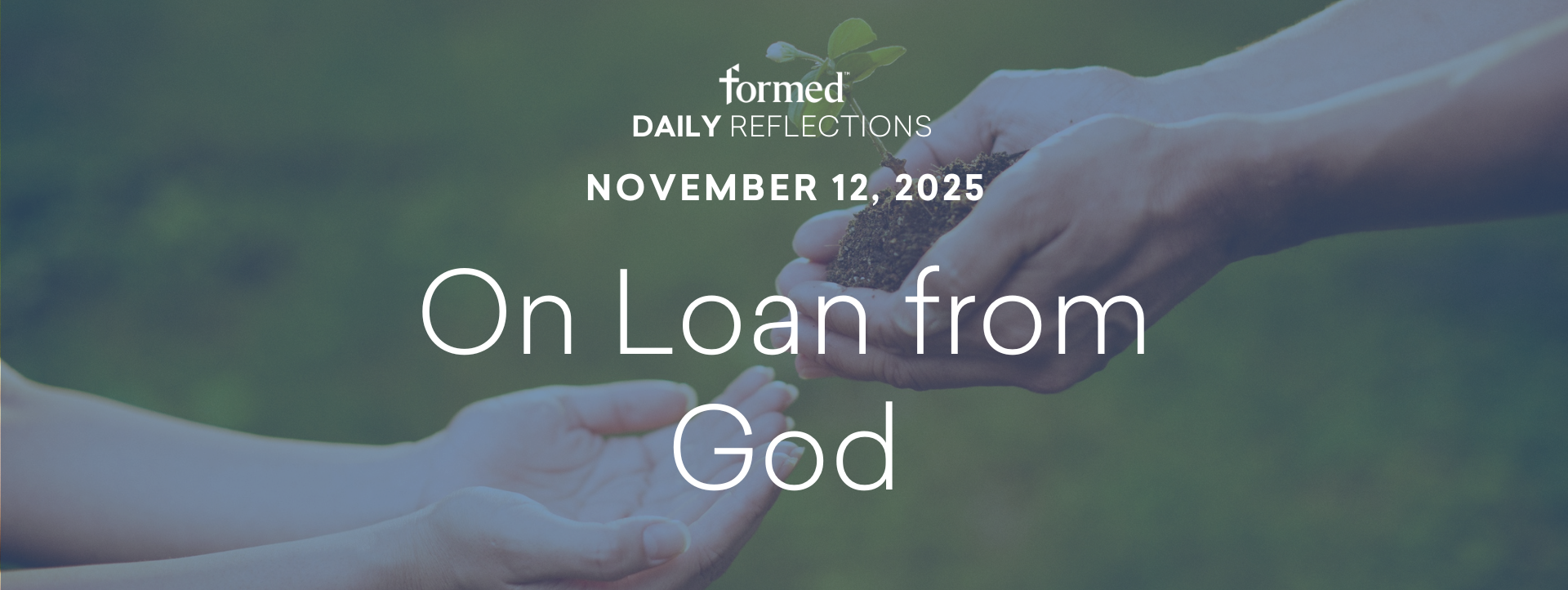 Daily Reflections — November 12, 2025