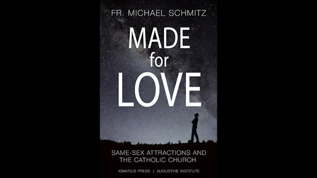 Made for Love by Fr. Mike Schmitz