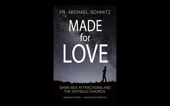 Made for Love by Fr. Mike Schmitz