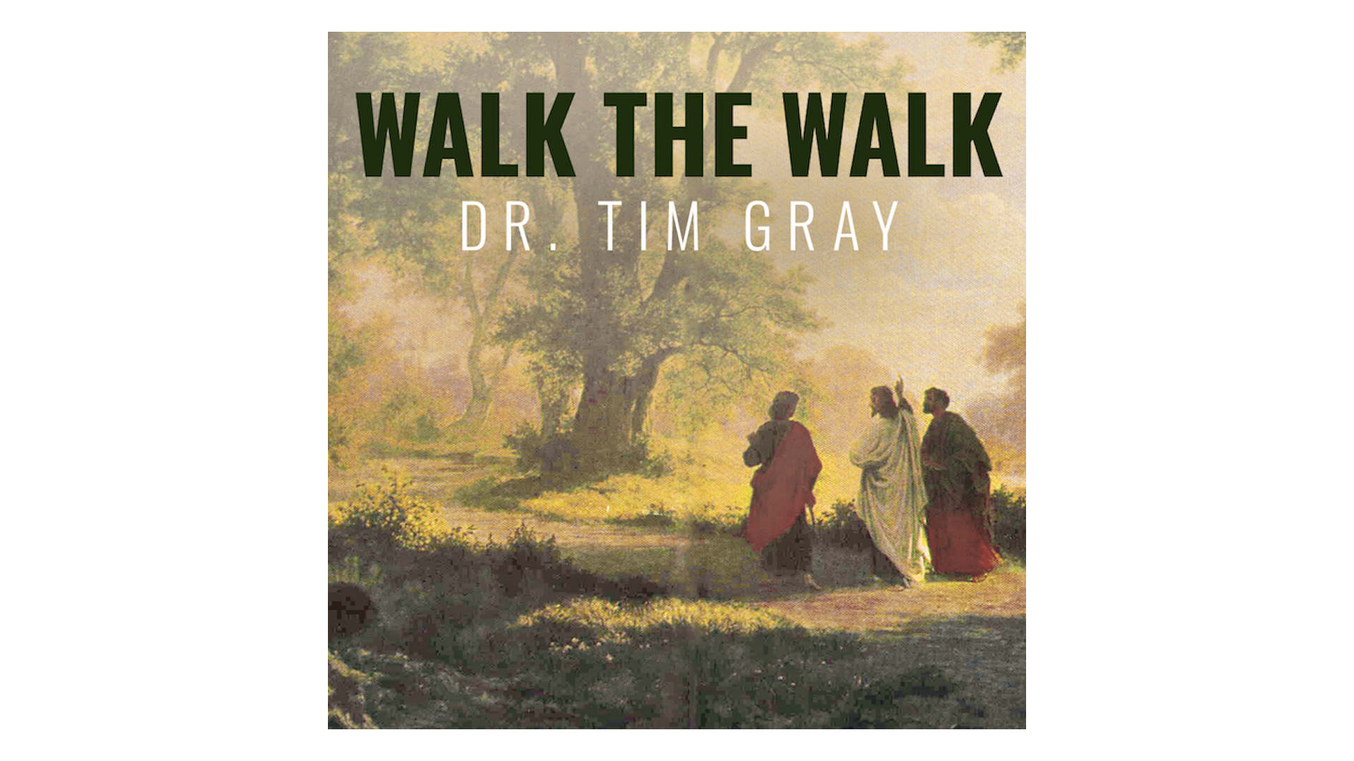 Walk the Walk: Following Christ as His Disciple by Tim Gray