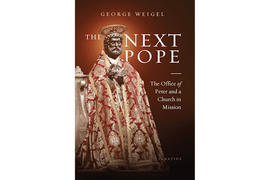 The Next Pope - Audio Book