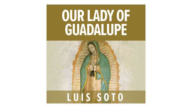 Our Lady of Guadalupe by Luis Soto