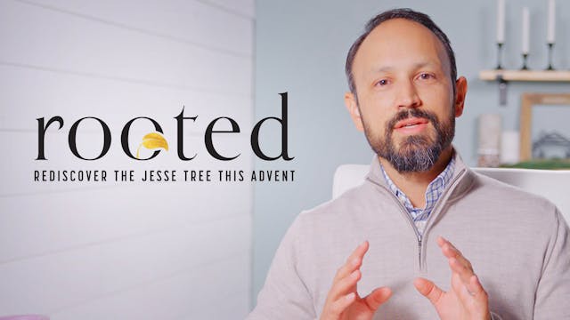 Rooted: Rediscover the Jesse Tree Thi...