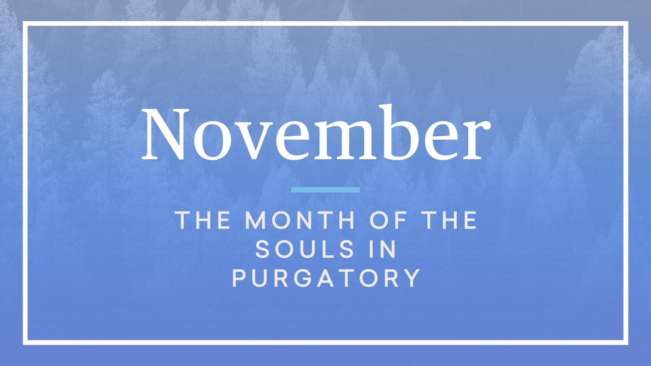 November Liturgical Calendar FORMED