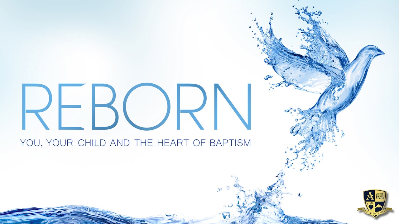 Reborn You Your Child And The Heart Of Baptism Formed