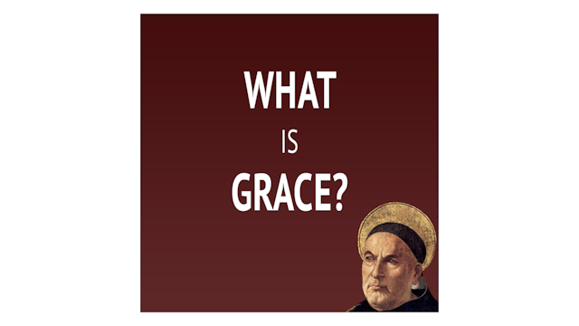 What Is Grace? with Michael Gormley
