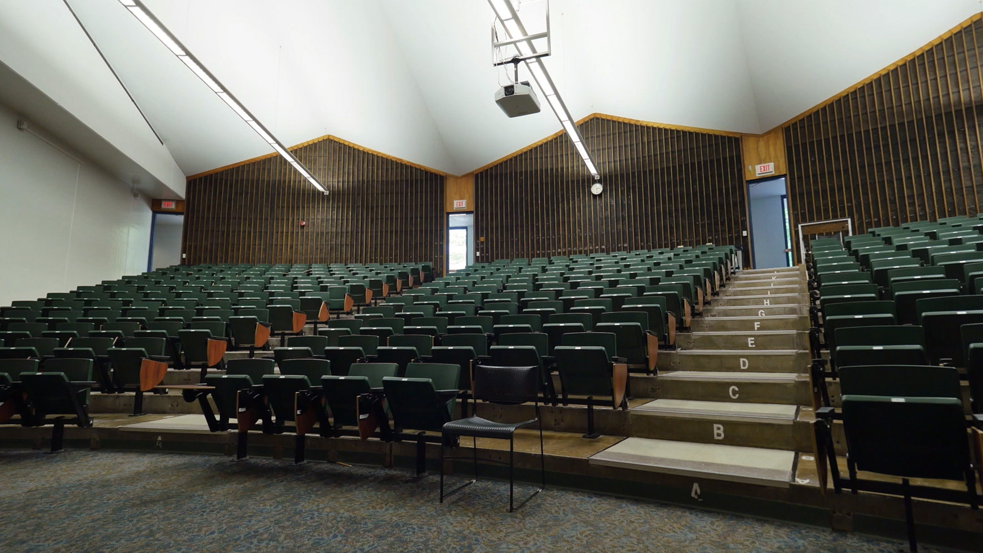 This Thing Called Guilt