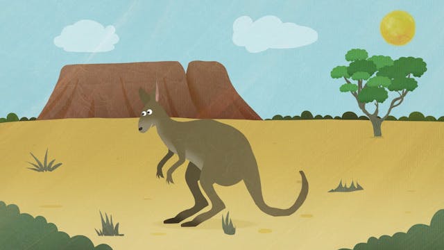 Canguro