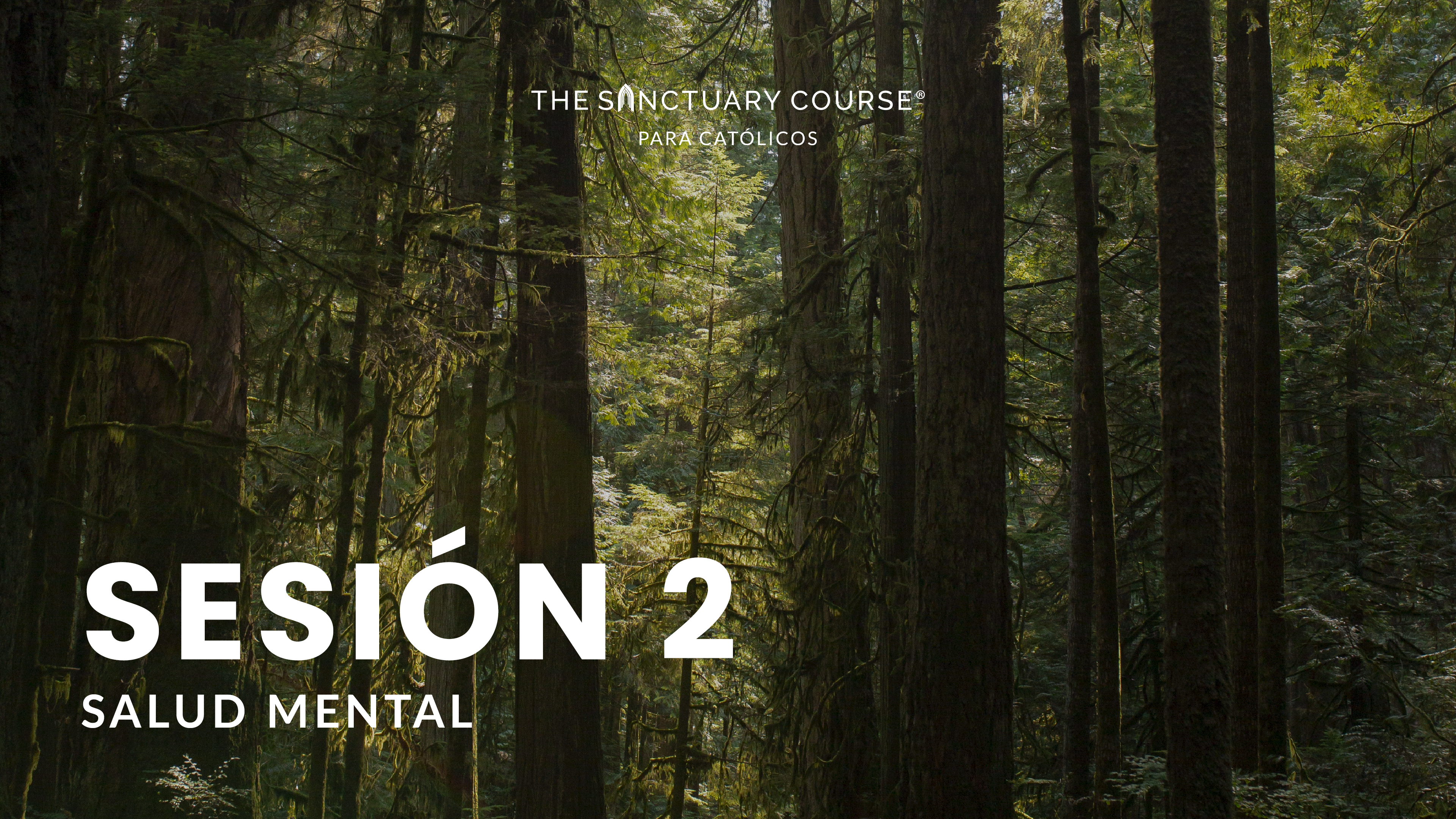 The Sanctuary Course para Católicos Session 2 (Español)