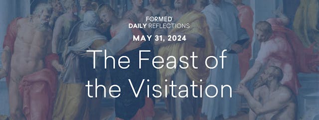 Daily Reflections — Feast of the Visi...