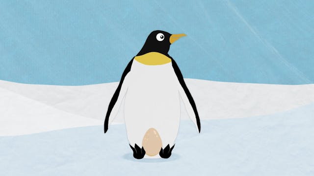 Emperor Penguin