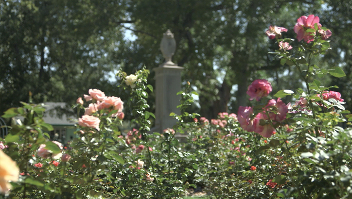 Un Vínculo Sacramental