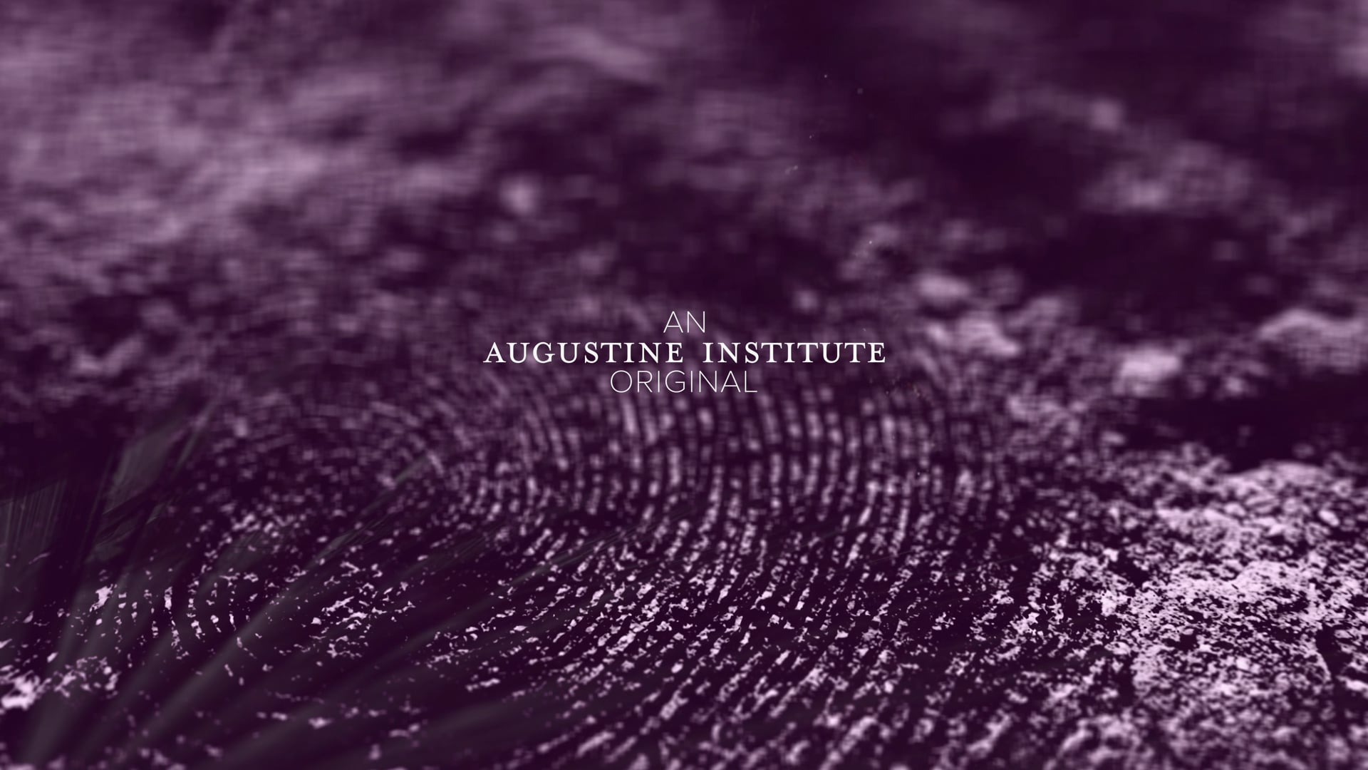 Día 26: "El testimonio"